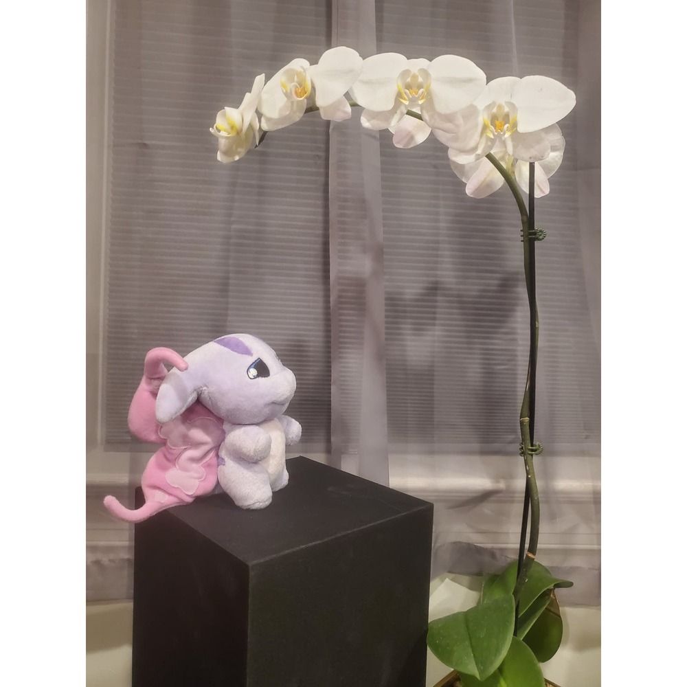 NWT Faerie Poogle Plushie Neopets - Picture 3 of 7